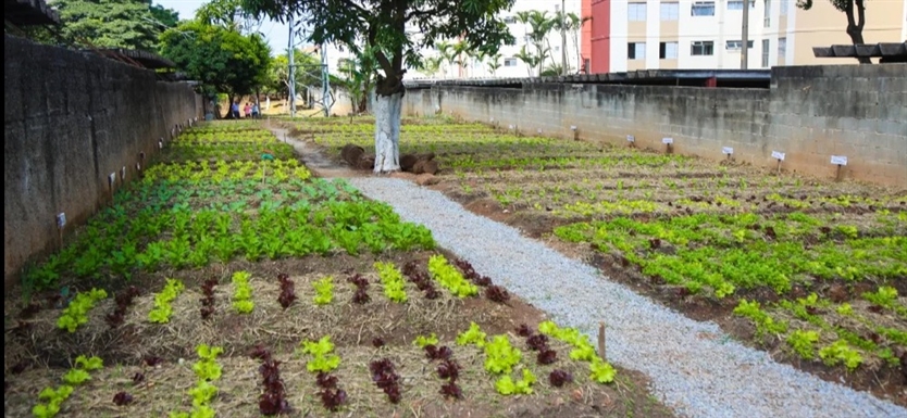 Imagem do Projeto